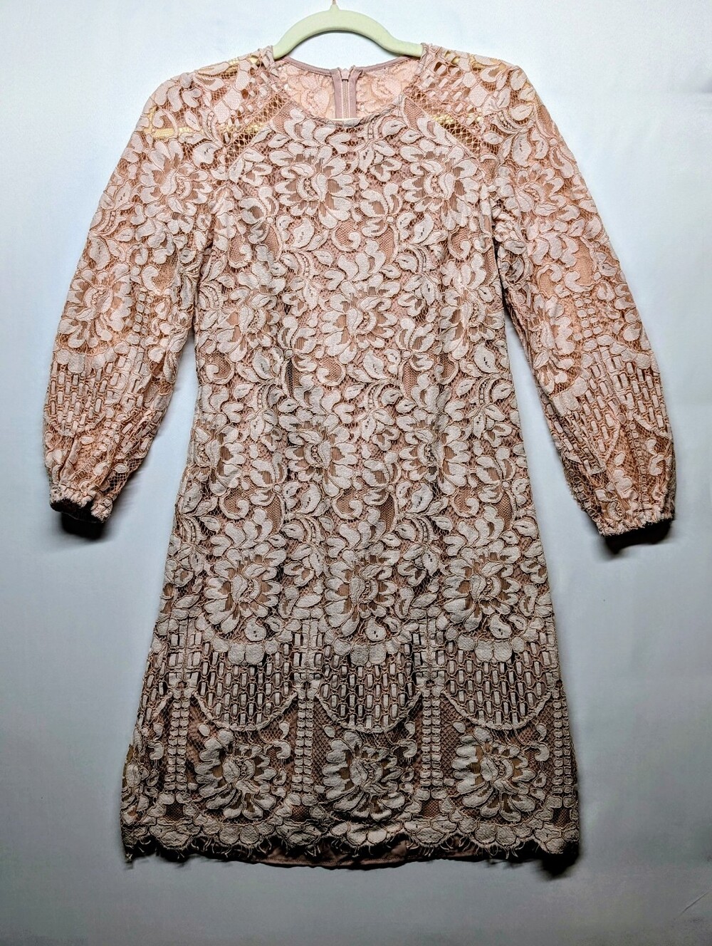 Vince Camuto Blush Pink Floral Lace Long Sleeve Dress